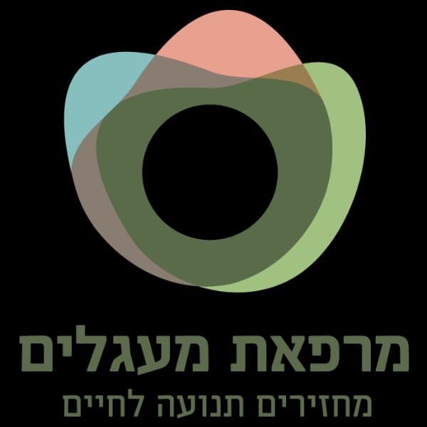מרפאת מעגלים